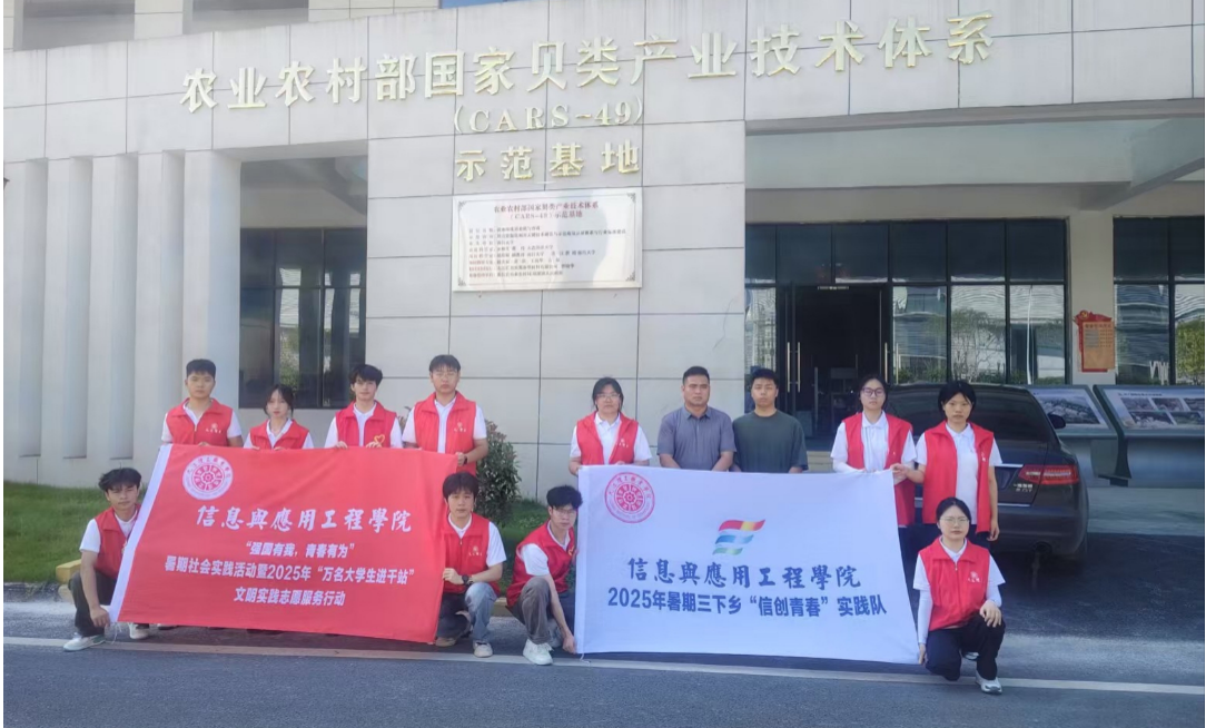 图片15